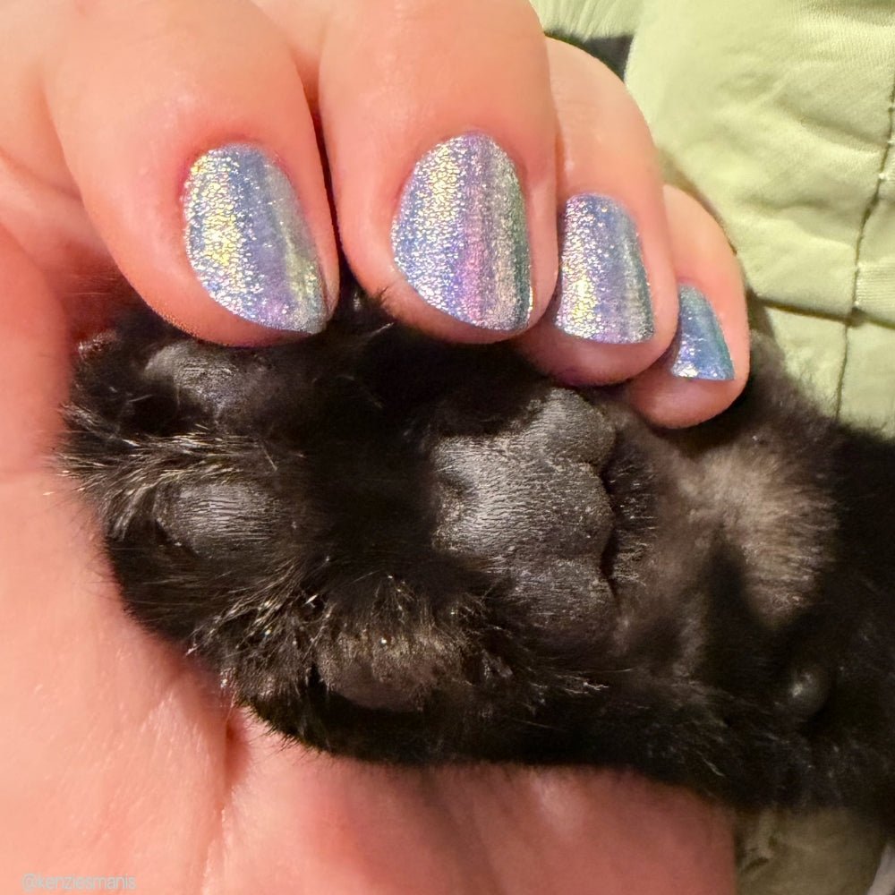3 AM Zoomies- Team Cat nail polish by Twinkle Hex Polish – bold handmade indie nail polish with flakes shimmer